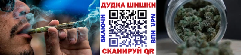 Шишки марихуана конопля Шуя